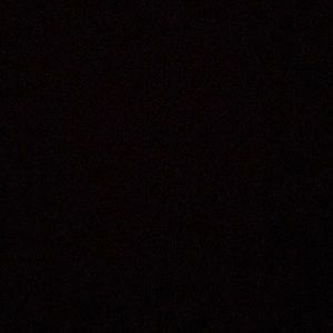 Meet your Posher, Bobby